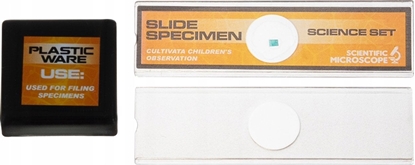 Attēls no MG Mikroskop Brainstorm