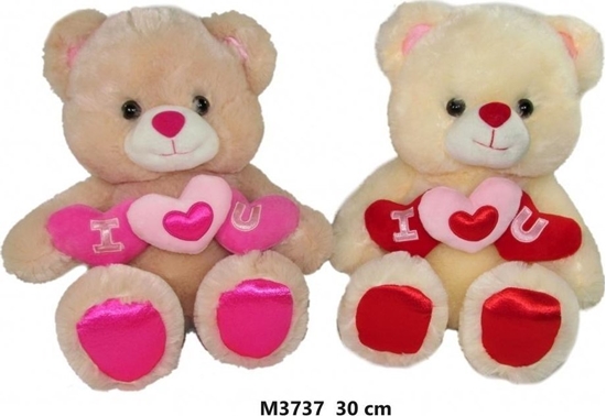 Picture of Mi z sercem 30cm MIX