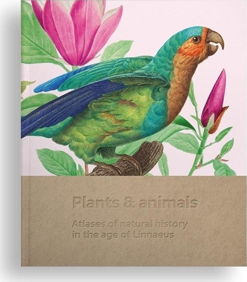 Изображение Midzynarodowe Centrum Kultury Plants and animals