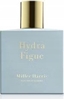 Picture of Hydra Figue EDP