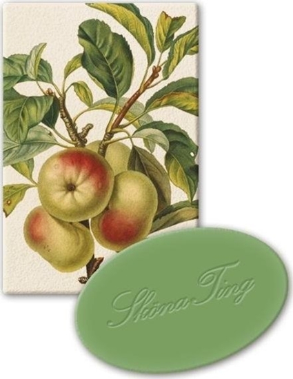 Изображение Mydeko ozdobne STTVAL618 zapach jabkowy