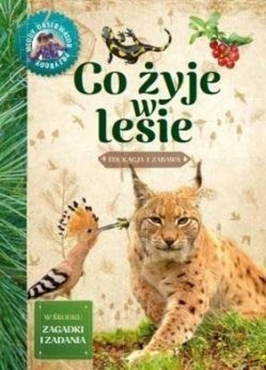 Attēls no Mody obserwator przyrody - Co yje w lesie