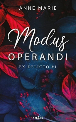 Picture of Modus Operandi EDUKAMP