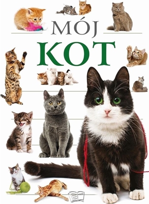 Изображение Mój kot