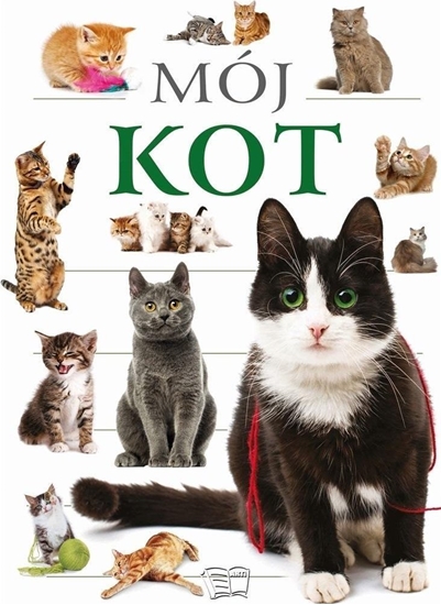 Изображение Mój kot