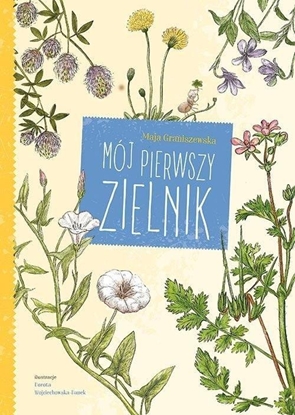 Изображение Mój pierwszy zielnik EDUKAMP