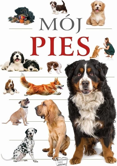 Изображение Mój pies