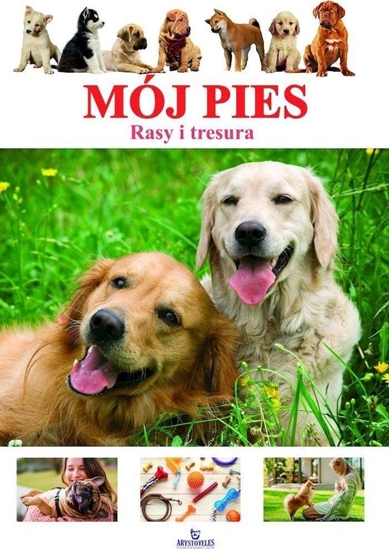Picture of Mój pies. Rasy i tresura