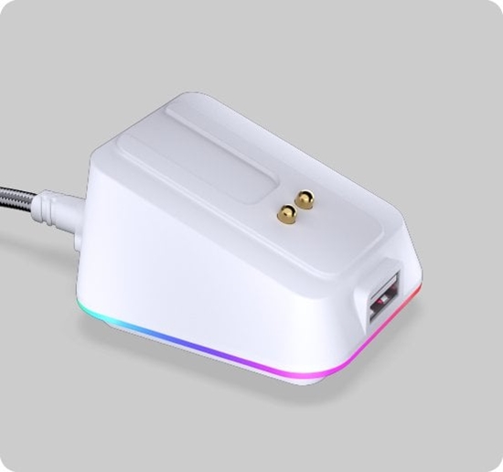 Picture of Mouse Dock Onyx White (EY0F002)