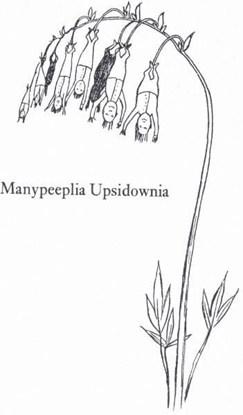 Attēls no Museums & Galleries Karnet B6 z kopert Manypeeplia Upsidownia