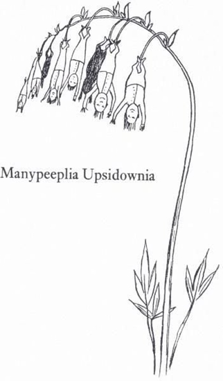 Picture of Museums & Galleries Karnet B6 z kopert Manypeeplia Upsidownia