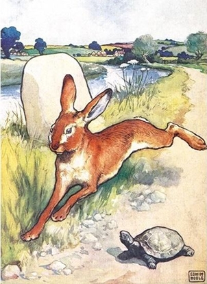 Attēls no Museums & Galleries Karnet B6 z kopert The Hare and the Tortoise