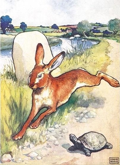 Picture of Museums & Galleries Karnet B6 z kopert The Hare and the Tortoise