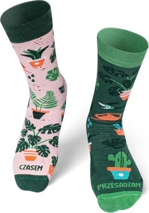 Picture of Nadwyraz.com Skarpety dugie Czasem przesadzam 39-42