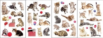 Picture of Naklejki 3D koty MIX EDUKAMP