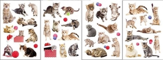 Picture of Naklejki 3D koty MIX EDUKAMP