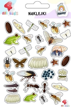 Изображение Naklejki dla dzieci Owady