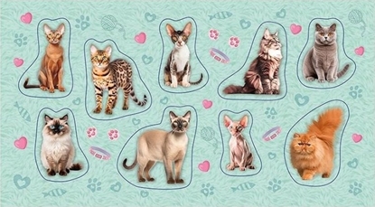 Attēls no Naklejki Kot 2.0