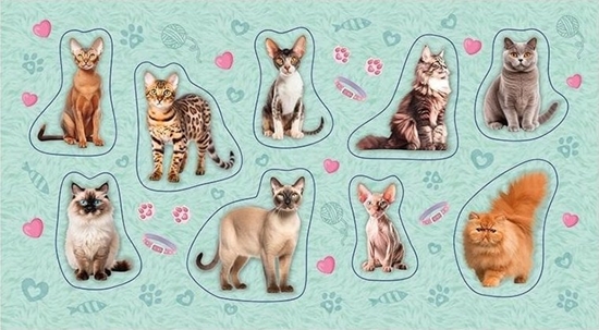 Picture of Naklejki Kot 2.0