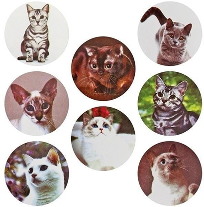 Attēls no Naklejki papierowe na tamie Koty 25mm 500szt