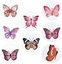 Picture of Naklejki papierowe na tamie Motyle 25mm 500szt