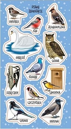 Picture of Naklejki Ptaki zimujce w Polsce