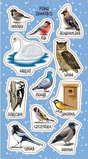 Picture of Naklejki Ptaki zimujce w Polsce