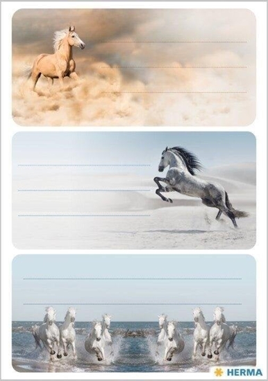 Picture of Naklejki szkolne - Konie 9szt