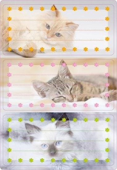 Picture of Naklejki szkolne - Kotki 6szt