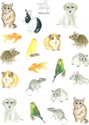 Изображение Naklejki Zwierzta domowe