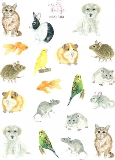 Picture of Naklejki Zwierzta domowe