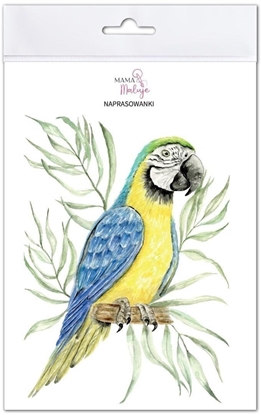 Изображение Naprasowanki Ara niebiesko-óta