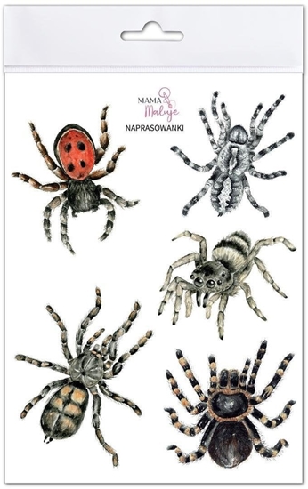 Изображение Naprasowanki Pajki