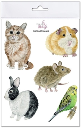 Attēls no Naprasowanki Zwierzta domowe EDUKAMP