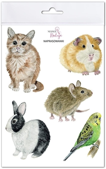 Изображение Naprasowanki Zwierzta domowe EDUKAMP