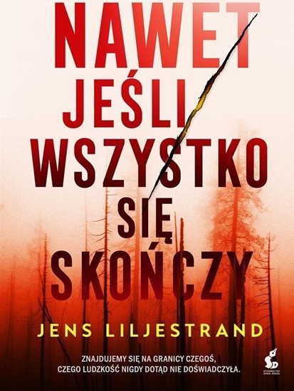 Изображение Nawet jeli wszystko si skoczy