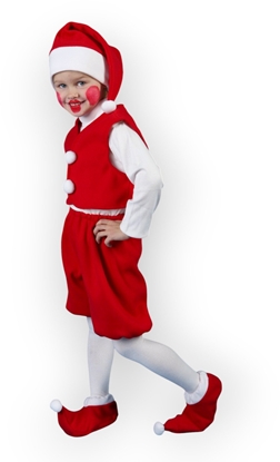 Picture of Nenurodyta CARNIVAL COSTUME KOZ-403/KNY-402