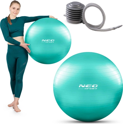 Picture of Neo-Sport Pika do wicze 65 cm NS-951 turkusowa