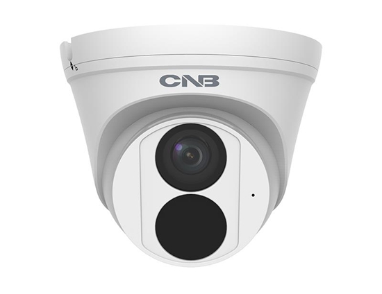 Picture of NET CAMERA 4MP IR EYEBALL/TDT41R-36W CNB