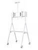 Picture of NEWSTAR MOBILE FLAT SCREEN FLOOR STAND (HEIGHT: 110 - 144 CM) 32-65" WHITE