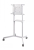 Picture of NEWSTAR MOBILE FLAT SCREEN FLOOR STAND (HEIGHT: 160 CM) 37-70" WHITE