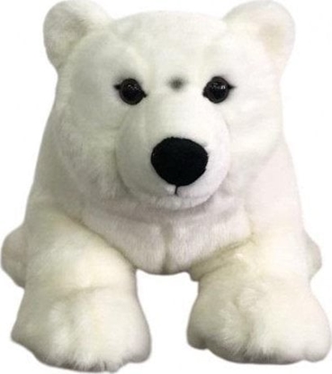 Attēls no Niedwied polarny 62cm