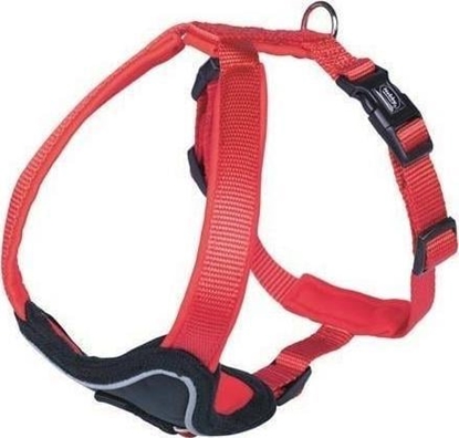 Attēls no Nobby NOBBY COMFORT PRENO SZELKI S-M CZERWONE 35-45cm