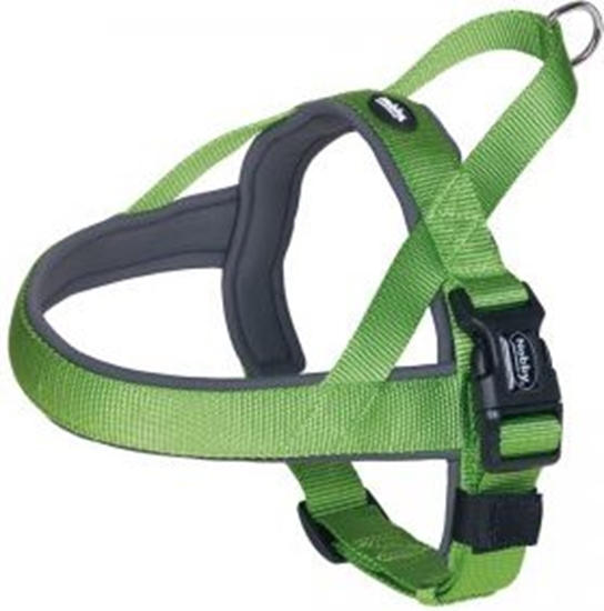 Picture of Nobby SZELKI CLASSIC PRENO L ZIELONE 60-76cm 25/35