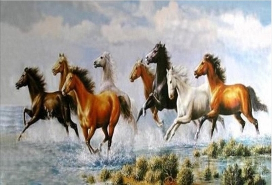 Picture of Norimpex Diamentowa mozaika 40x80 - Galop koni