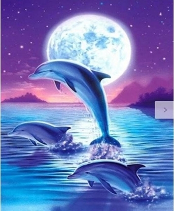 Picture of Norimpex Diamentowa mozaika Delfin 40x30cm 1006715