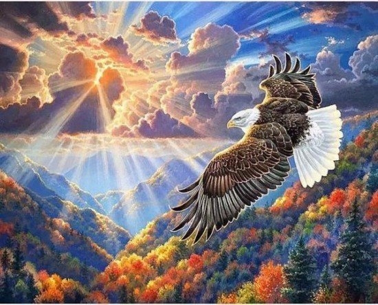 Picture of Norimpex Diamentowa mozaika Orze w przestworzach 30x40cm 1006981