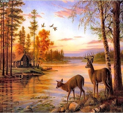 Attēls no Norimpex Mozaika diamentowa 5D - Jele 40x30cm