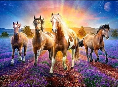 Attēls no Norimpex Mozaika diamentowa 5D - Konie 40x30cm
