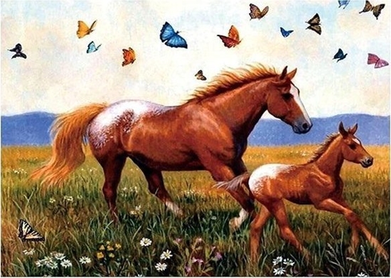 Picture of Norimpex Mozaika diamentowa 5D - Konie 40x30cm